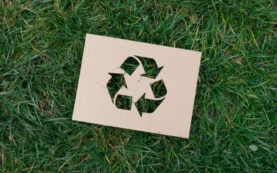 Le Recyclage Bio : Des Déchets Alimentaires aux Cosmétiques de Luxe ?