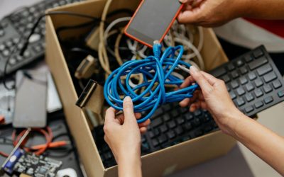 Le recyclage ultime : Ces artistes qui transforment nos déchets en œuvres d’art époustouflantes