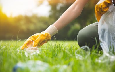 Recycler son éternité : et si nos corps devenaient des parcs ?