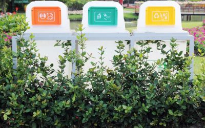 Le Recyclage des Objets Étranges : Quand Vos Jouets d’Enfance Vivent une Seconde Vie