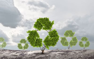 Innovations en recyclage révolutionnent nos pratiques de gestion des déchets