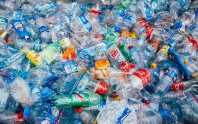 Innovations qui révolutionnent le recyclage pour un avenir durable