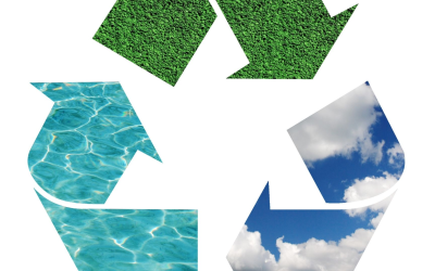 Recyclage 2024: innovations et défis pour une économie circulaire