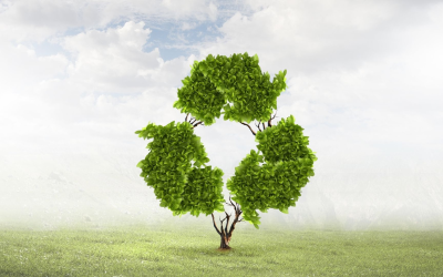 Innovations recyclage: l’IA et la biochimie transforment nos déchets