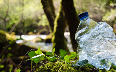 Accélérer le recyclage par l’innovation pour un futur plus vert