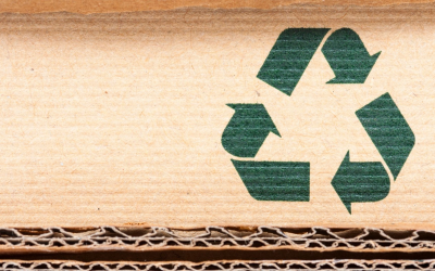 Techniques innovantes pour un recyclage plus efficace et durable