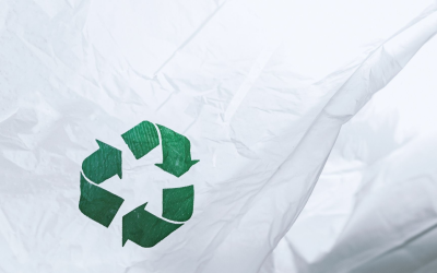 Recyclage révolutionnaire : innovations clés pour un avenir durable