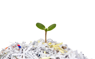 Innovations biotechnologiques et numériques dynamisent le recyclage et l’économie circulaire